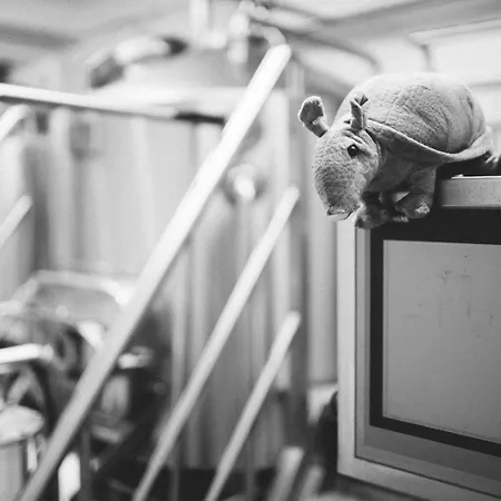 Bed & Beer By Misery Beerco *